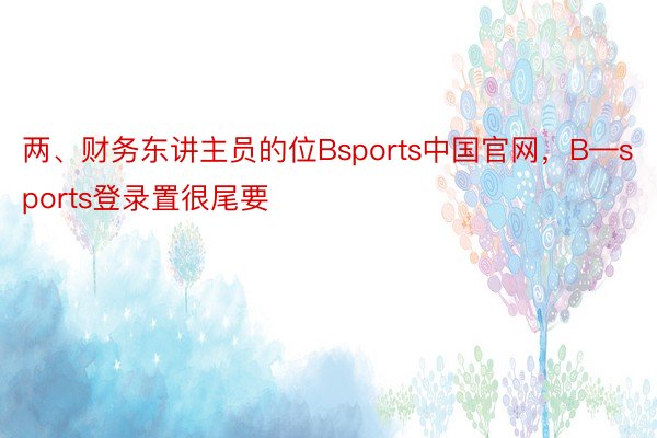 两、财务东讲主员的位Bsports中国官网，B—sports登录置很尾要