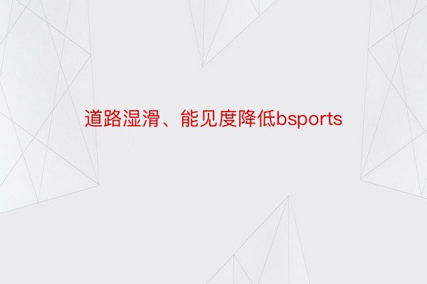 道路湿滑、能见度降低bsports